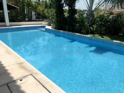 Shamrock Park (D10), Detached #503036341